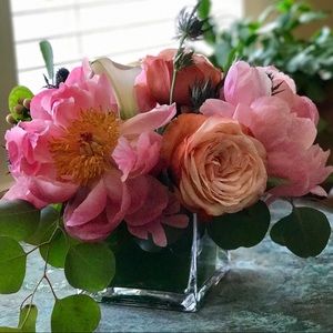 Meet your Posher, Natalie